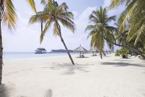 Hôtel Kihaa Maldives 4*