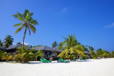 Plage - Hôtel Kuredu Island Resort & Spa 3* Male Maldives