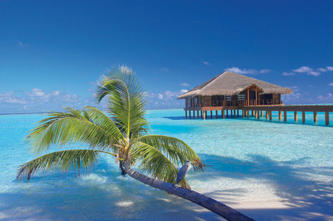 Hôtel Medhufushi Island Resort 4* photo 10