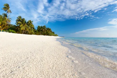 Hôtel Meeru Island 4* photo 5