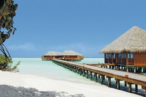 Hôtel Meeru Island Resort & Spa 4* photo 5