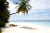 Plage - Hôtel Olhuveli Beach Resort & Spa 4* Male Maldives