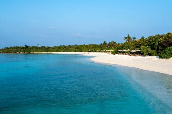 Plage de l'île - The Barefoot Eco Hotel