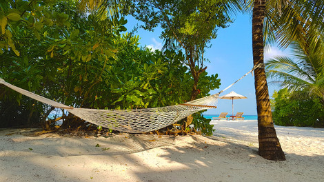 Hôtel The Barefoot Eco Hotel 4* photo 31