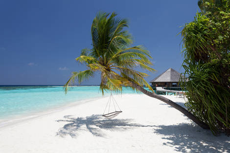 Plage - Hôtel Vilamendhoo Plein Vent 4* Male Maldives