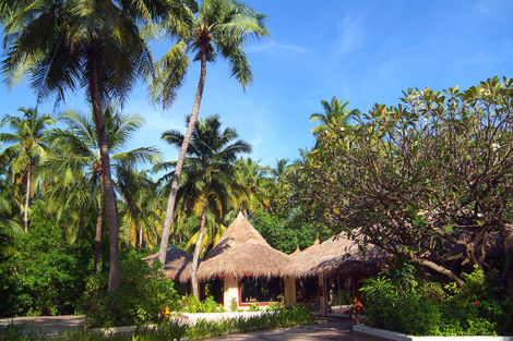 Hôtel Biyadhoo Island Resort 3* photo 4