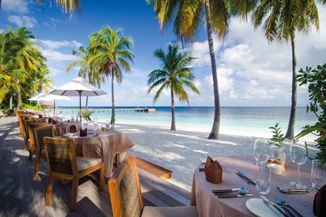 Restaurant - Hôtel Mirihi Island Resort 5* Male Maldives