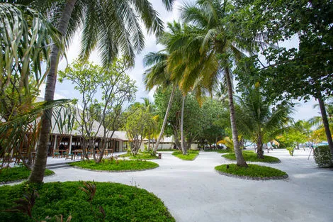 Hôtel Meeru Island 4* photo 30