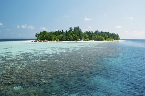 Hôtel Vilamendhoo Island Resort & Spa 4*