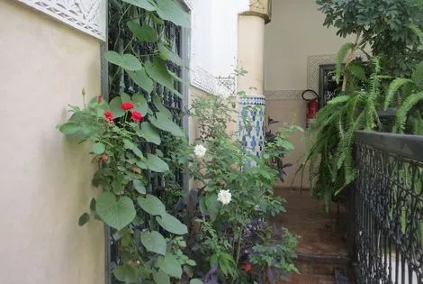 Hôtel Riad Maizie marrakech MAROC