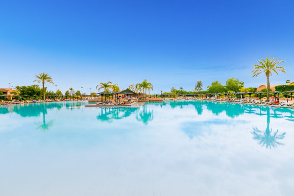 Piscine - Riu Tikida Palmeraie