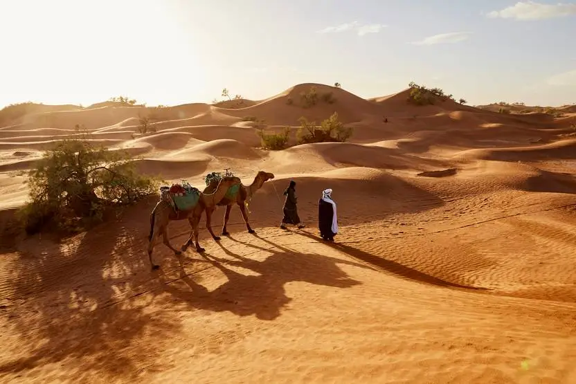 Circuit Le souffle des dunes : voyage à pied au cœur du grand sud