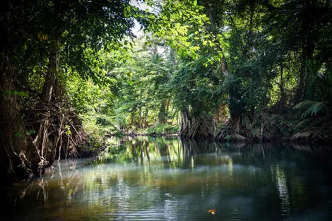 Indian River
