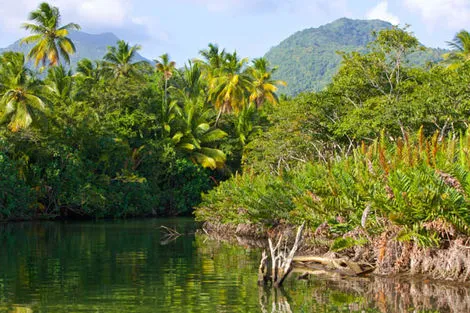 Indian River