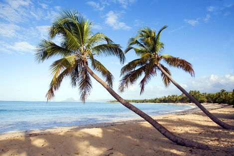 Martinique