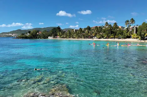 Evasion tropicale