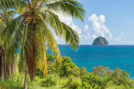 Autotour Sur un Rythme Créole - 2027 fort_de_france Martinique