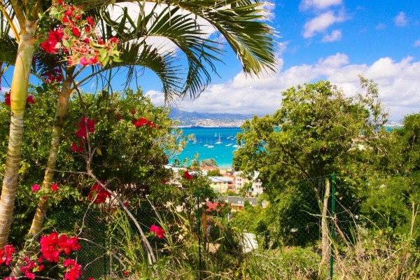 Vue panoramique - Karibea Camelia 2*