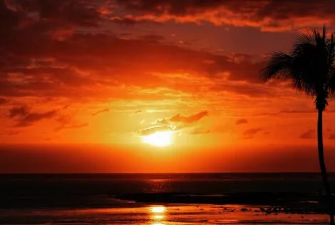 Hôtel Ambre Resort & Spa belle_mare MAURICE