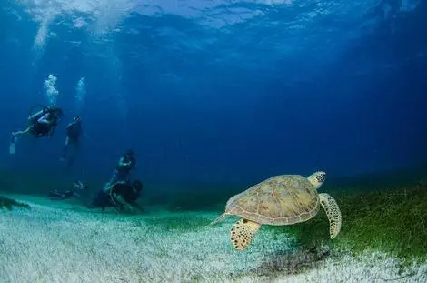 Hôtel Akumal Natura akumal MEXIQUE