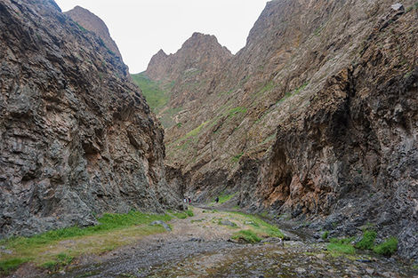 Canyon Yoliin Am