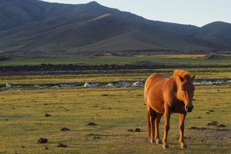 Circuit Epopée Nomade en Terres Mongoles oulan_bator Mongolie