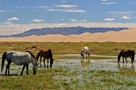 Circuit A la rencontre du Peuple Nomadee oulan_bator Mongolie