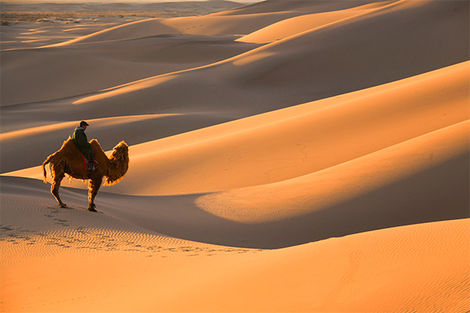 Désert de Gobi