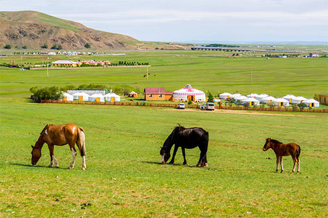 Khujirt