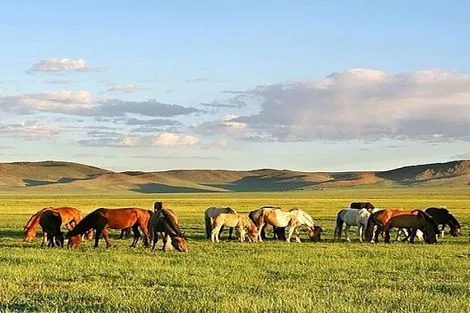 Circuit Immersion en Mongolie - 2025 Oulan_bator Mongolie