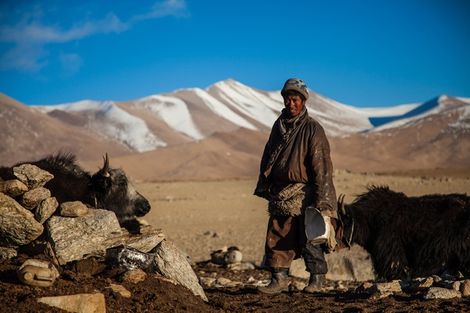 Circuit Aventure & Trekking de Yourtes en Yourtes oulan_bator Mongolie