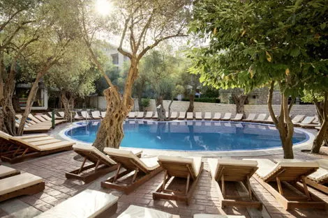 Club Ôclub Experience Vila Oliva Petrovac petrovac Montenegro