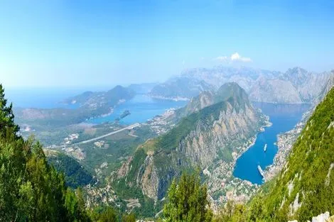 Kotor