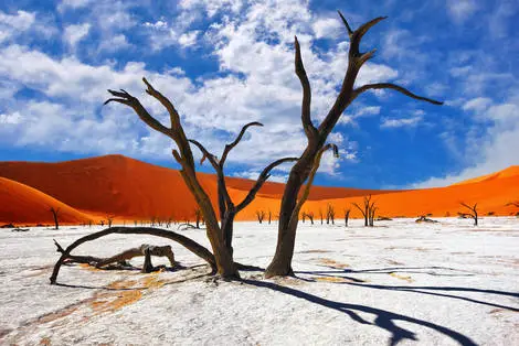 Autotour La Namibie Sauvage windhoek Namibie