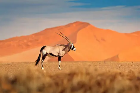 Autotour La Namibie Sauvage windhoek Namibie