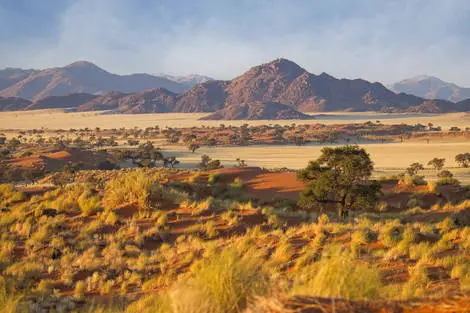 Circuit Là où la terre devient lumière : la Namibie éternelle