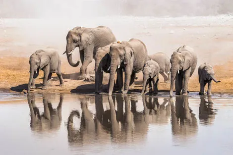 Parc National Etosha