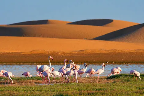 Walvis Bay