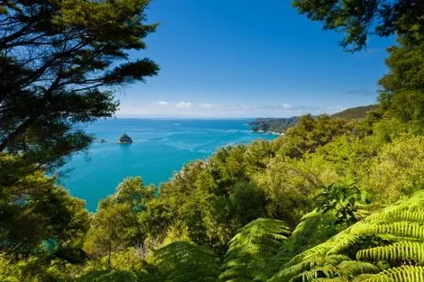 Abel Tasman