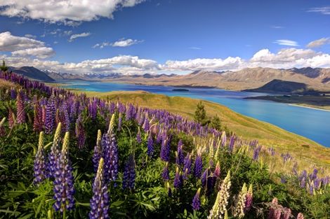 LAKE TEKAPO