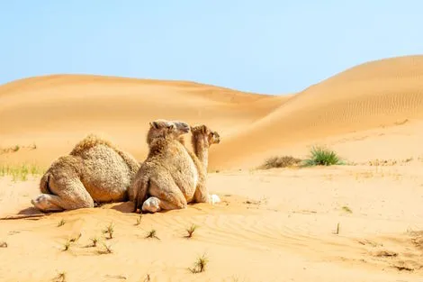 Circuit Oman En Toute Liberté - Hôtel Wyndham Garden mascate Oman