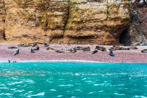 Iles Ballestas