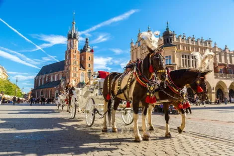 Circuit De Varsovie à Cracovie en privatif varsovie Pologne