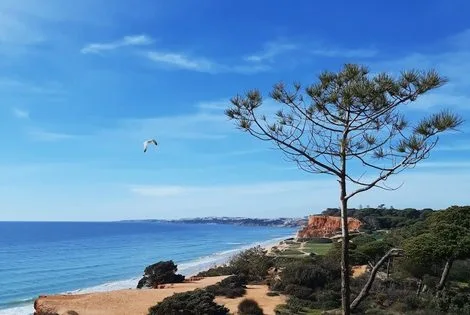 Hôtel Falesia Hotel albufeira PORTUGAL