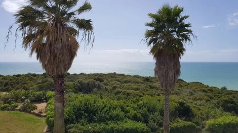 Hôtel Pestana Palm Gardens lagoa PORTUGAL