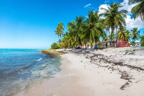 Club Escapades au Cœur des Caraïbes, logement au Framissima Catalonia Bavaro bavaro République Dominicaine