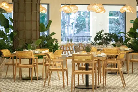 Restaurant buffet Taino