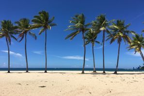 Republique Dominicaine-Puerto Plata, Hôtel Emotions Playa Dorada by Hodelpa