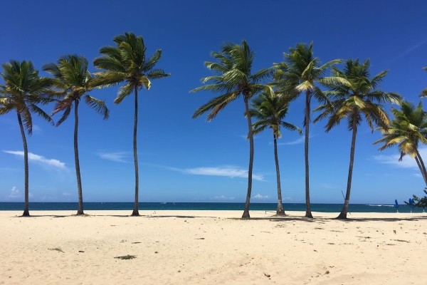 Plage - Emotions Playa Dorada by Hodelpa