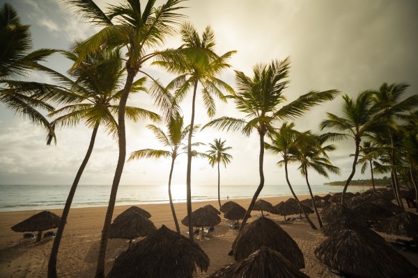 Plage - Maxi Club Tropical Princess